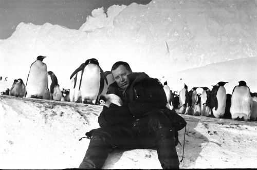 А.Н.Борисаов с пингвинами